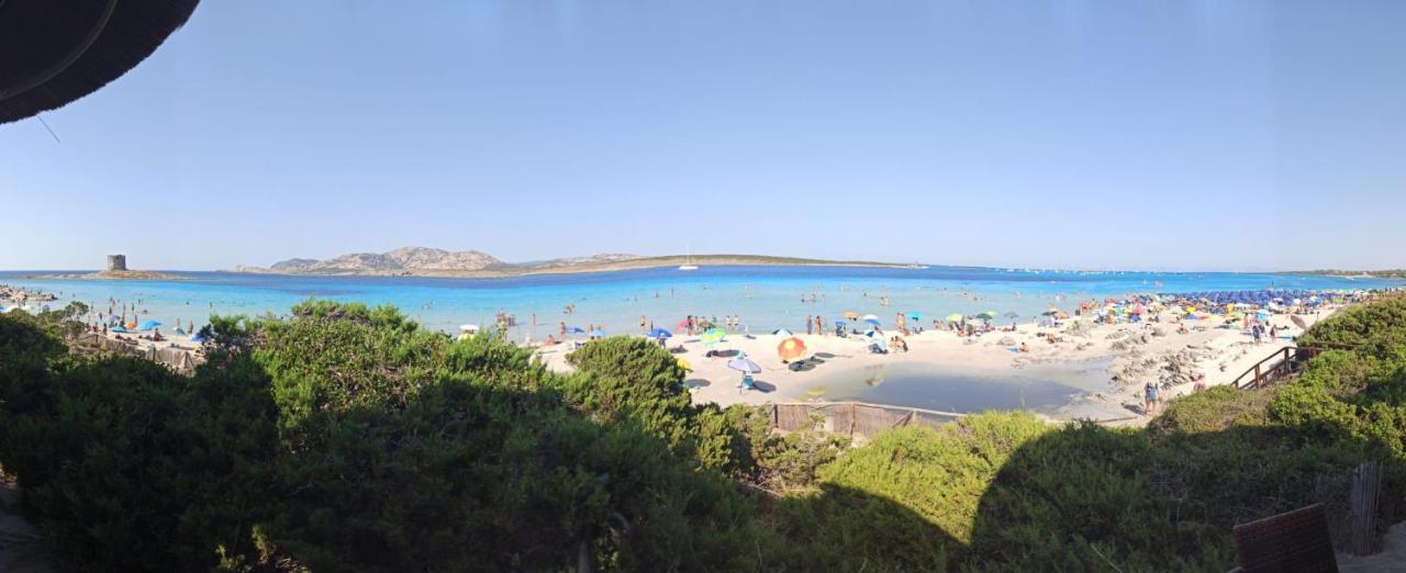 Capo Falcone Vicinanze La Pelosa